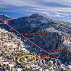 AppartChalet LA RONDULA - 100m from Seceda