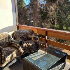 Central studio in Villars sur Ollon, Emeraude, for 3 only 100m to Bretaye ski train