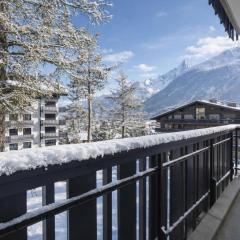 The Brevent Nest ski in/ski out - Happy Rentals