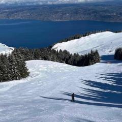 Appartement-Chalet avec Terrasse - Vue Lac