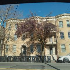 Shared Salem Apt for staying in a bed