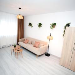 Apartament la munte