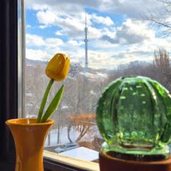 Cozy studio close to Dostyk Plaza
