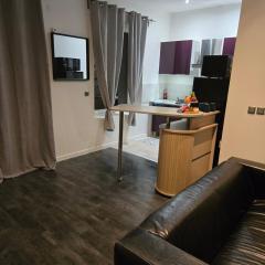 Beautiful 1-bedroom apartment of 70 m2 Chateaucreux