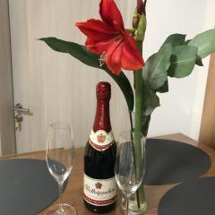 Villa Cologne - Apartments & Monteursquartiere in Meckenheim bei Köln