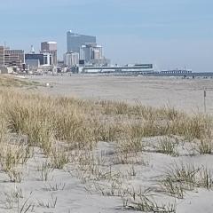 Ventnor Island Beach House