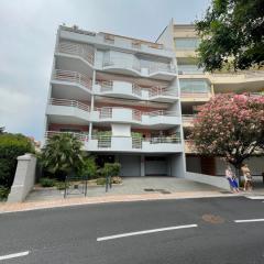 Grand appart 82m2 terrasse 2 ch 7 pers clim