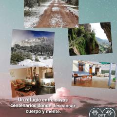 Casa Rural El Olivar Victoria