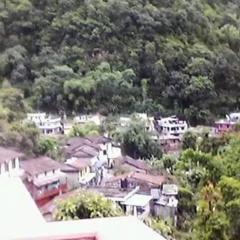 Hotel evergreen lodge