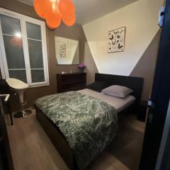 Une expérience artistique