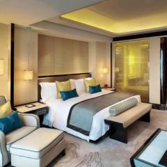 Hotel Tejas Prime Stay Near IGI Airport