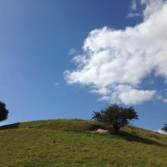 MR Landhaus Uhlenhof 5