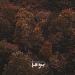 The Rapids Cottage-Secret woodland cottage with outdoor 4 person jetted bath