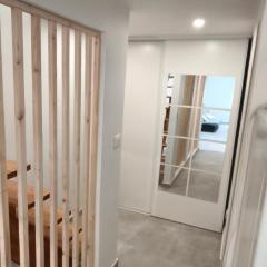 Magnifique duplex T3