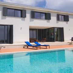 Modern Villa Anna with outdoor pool in Visnjan