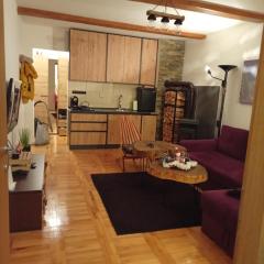 Studio apartman Paradise