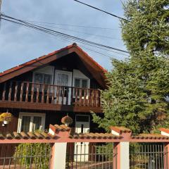 AVS Snagov Chalet