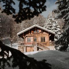 Chalet Clair Bois - La Féclaz avec bain nordique privé