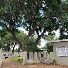 Shady Seringa Accommodation