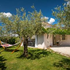 Beautiful Villa GF25 with pool in Visnjan