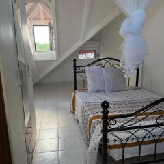 T3 cosy haut de villa Bassin balnéo sur terrasse jardin & fêtes possibles