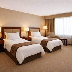 Commercial Hotel - Standard Twin Room