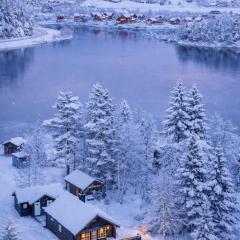 Holiday cottage with sauna close to Kjeragbolten-Bedding included