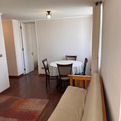 One minute from the Vinadel Mar bus terminal