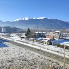 "Mountain Panorama" Private Apartment