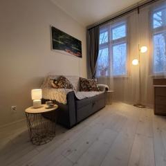 Pärnu Pikk 24 apartment - Pärnu kesklinn - City center