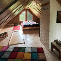 Capture Nordic Wilderness Camp