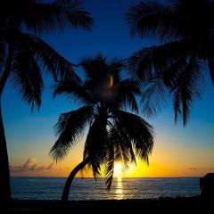 London House Seven Mile Beach Grand Cayman