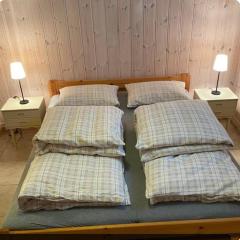 Bed and Breakfast- rom med bad i Elverum
