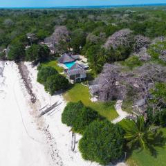 Coral Cove Diani Treehouses
