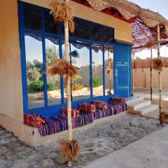 Dar Tunis Al Zaytoun