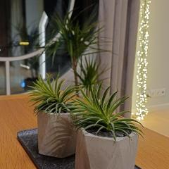 Keila Round View Apartment