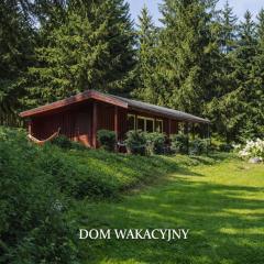 Domek w Dolinie Drwęcy