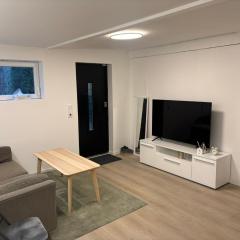 Family friendly apartment with parking