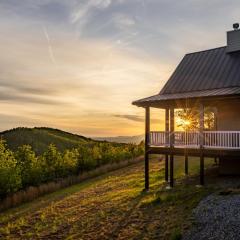 Mountain Top Escape w Hot Tub, Fireplace and Views