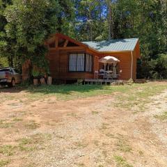 Cabañas las Vertientes Villarrica