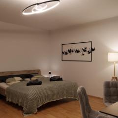 Delightful Apartment with Private Balcony in Perfect Location of Vienna