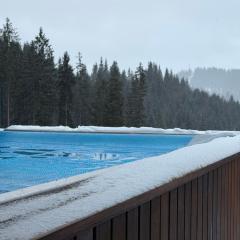 Chalet Velvet by Fomich