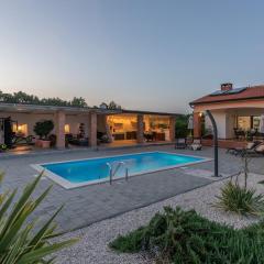 Beautiful Villa Sveta Anna with jacuzzi in Tinjan