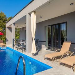 Beautiful Villa Rhapsody with pool in Buzet