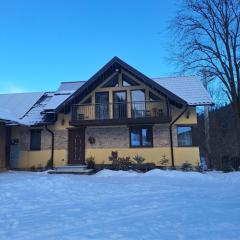 Pensiunea Casa Fierarul din Bucovina