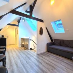 Pikine - Découvrez l'hyper-centre de Reims