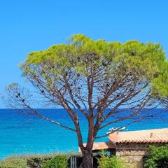Dormir en Corse du Sud T3 4 pers Vue Mer, Plage à pied