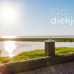 Lütt Diekje - traumhaft mit Hund und Kamin