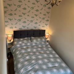 Room in Glasgow 20 mins away from city