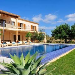 YourHouse Albercoquer